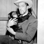 Vincent Price